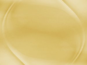 实体识别漫谈：从历史到未来